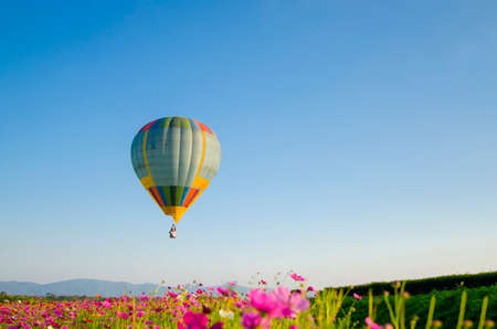 Colorful hot-air balloons flying over the flowerの写真素材
