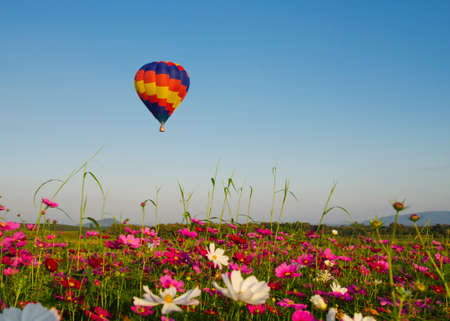Colorful hot-air balloons flying over the flowerの写真素材