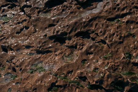 brown textured sea rock materialの写真素材