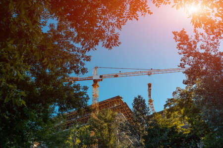 modern construction crane work on site and build skyscraper in forest outdoorの写真素材