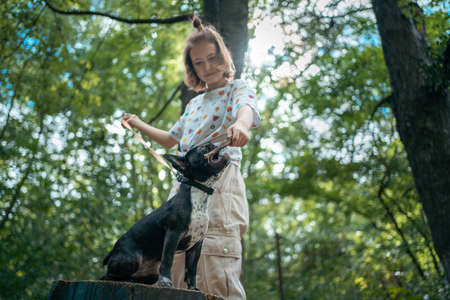 girl play with cute little frenchie bulldog puppy in park at summer dayの写真素材