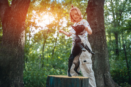 girl play with cute little frenchie bulldog puppy in park at summer dayの写真素材