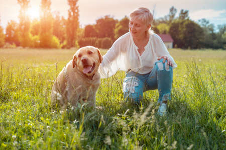 happy senior woman play with labrador retriever dog in sunny summer parkの写真素材