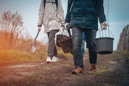planting new trees with gardening tools in green parkの写真素材