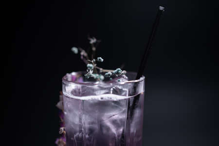 luxury violet fizz cocktail drink with flower decoration on black backgroundの写真素材