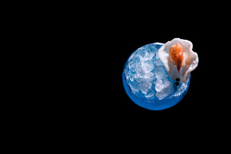 Luxury blue alcohol cocktail decorated with shrimp in glass