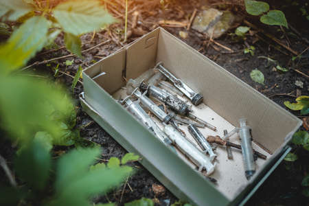 volunteer cleaning up park from used syringe by drug addicted junkiesの写真素材