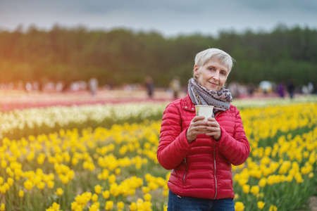 senior woman and beautiful vivid blossoms of flowers on Netherlands tulip festの写真素材