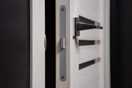 modern and secured metal door handle and latch detailの写真素材