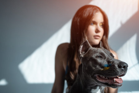 young ukrainian beautiful female play with staffordshire terrier dog at hoeの写真素材