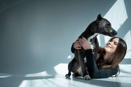 young ukrainian beautiful female play with staffordshire terrier dog at hoeの写真素材