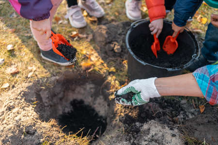 children play and dig black soil with shovel or help to planting tree outdoorの写真素材