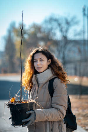young female planting seedling or tree sapling in park to preserve environmentの写真素材