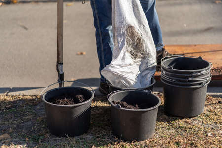 man pour black soil in garden bucket for planting new tree or gardening outdoorの写真素材