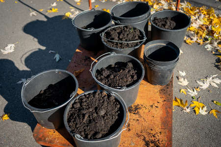 closeup of garden bucket with fertile black soil for planting trees outdoorの写真素材