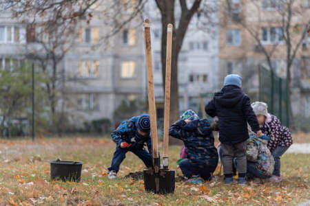 afforestation or children learn or help to planting trees outdoorの写真素材
