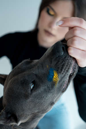 young ukrainian beautiful female play with staffordshire terrier dog at hoeの写真素材
