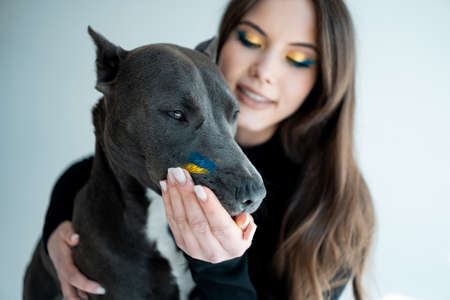 young ukrainian beautiful female play with staffordshire terrier dog at hoeの写真素材