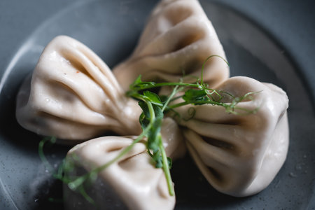 khinkali or georgian dumplings with meat on dark plate on grey backgroundの写真素材