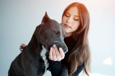 young ukrainian beautiful female play with staffordshire terrier dog at hoeの写真素材
