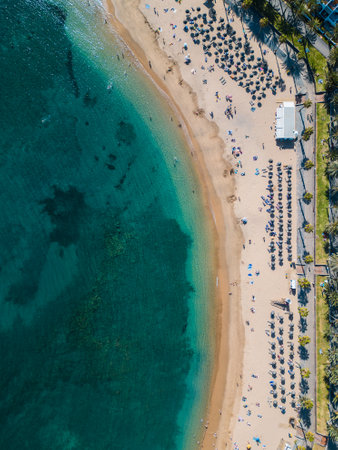 exotic beach with palms and clean blue water, tourists on vacation, Tenerifeの写真素材