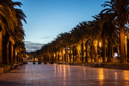 palm tree alley and sunset at beautiful Salou coastal town, tropical city street at evening, Tarragona province, Spainの写真素材
