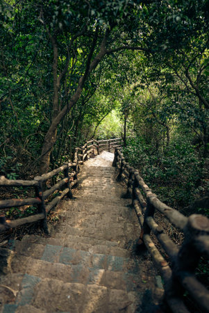 Rustic stone stairs with wooden railings through lush greenery, Scenic pathway with stone steps and...