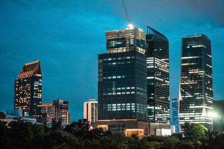 illuminated modern skyscrapers of Bangkok against night park, vibrant cityscape skyline blending...