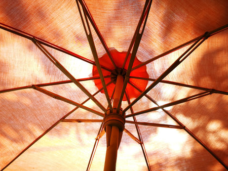 Thai umbellaの素材