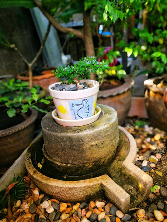 Little tree in gardenの素材