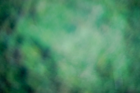 Natural green blurred bokeh background.