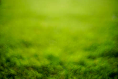 Natural green blurred bokeh background.の写真素材