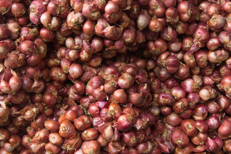 Close up of the shallotの写真素材