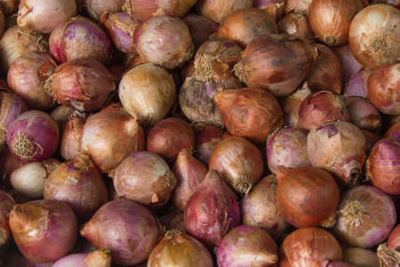 Close up of the shallotの写真素材