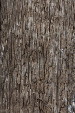 The old wood texture backgroundの写真素材