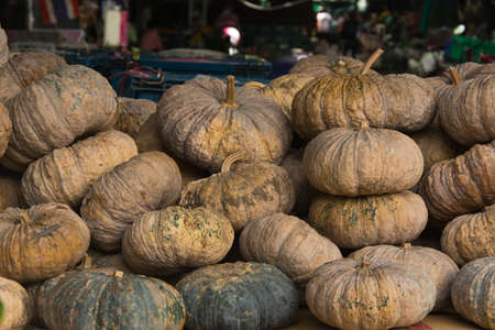 Pumpkin for sale on marketの写真素材