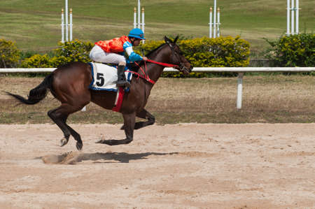 Jockey and horse racing in trackの写真素材
