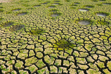Dry soil crack background texture