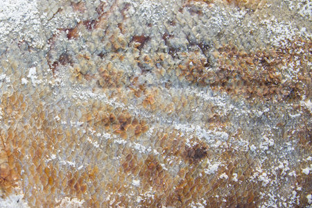 Close up of salt grilled fish on mesh grill