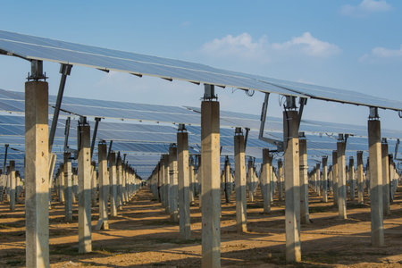 Solar panel support in solar farm
