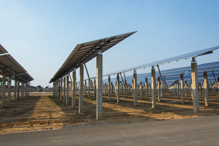 Solar panel support in solar farm