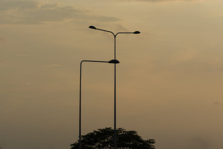 Silhouette lighting pole with tree