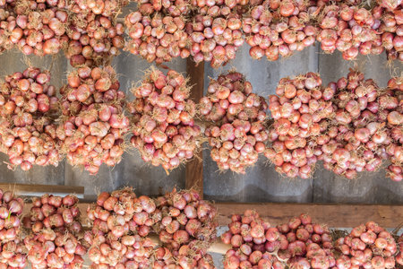 Close up of the shallotの写真素材