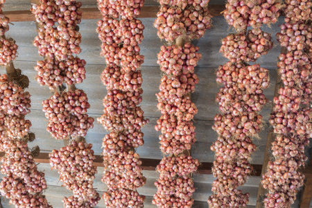 Close up of the shallotの写真素材