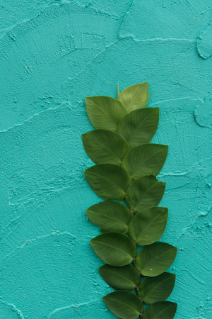 Green leaf on wall