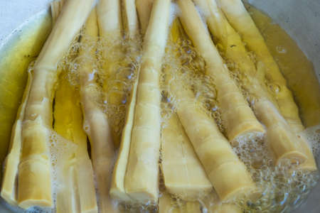 Soft boiled bamboo shootsの写真素材