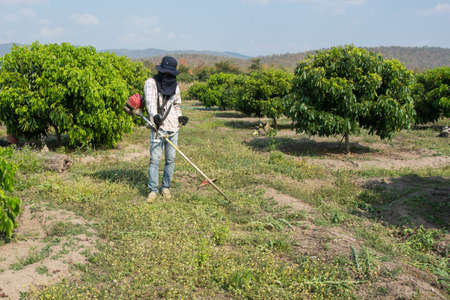 Worker man cutting grass in gardenの写真素材