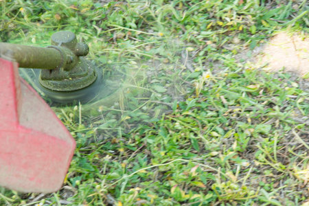 Worker man cutting grass in garden