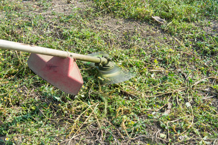 Worker man cutting grass in garden