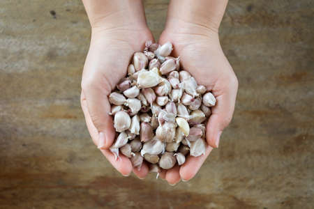 Close up of garlic backgroundの写真素材